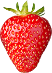 fragola-R fragola-R
