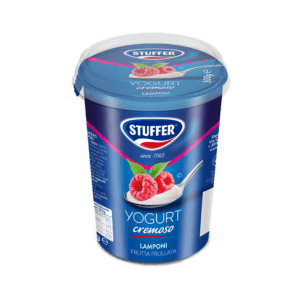 YOGURT CREMOSO <br /><span class="customProductSubtitle">500g LAMPONE